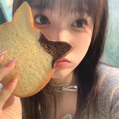 猪圈